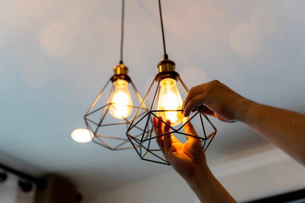 Best Local Electrician Companies  in Pelican Rapids, MN
